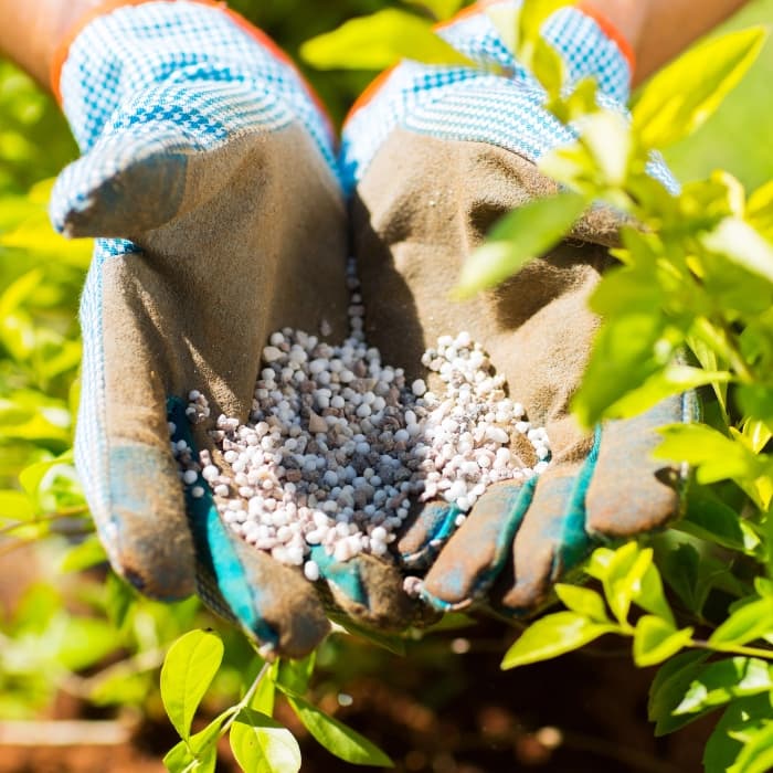 Trustworthy Background